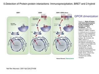 Advanced Molecular Techniques for Gene Structure and Function Analysis ...