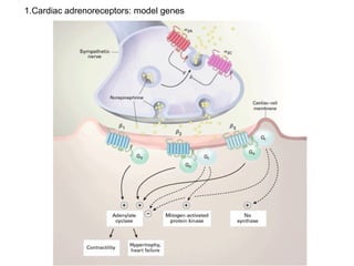 Advanced Molecular Techniques for Gene Structure and Function Analysis ...