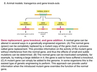 Advanced Molecular Techniques for Gene Structure and Function Analysis ...