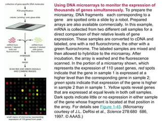 Advanced Molecular Techniques for Gene Structure and Function Analysis ...