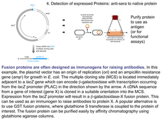 Advanced Molecular Techniques for Gene Structure and Function Analysis ...