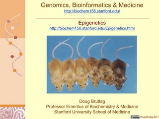 Doug Brutlag 2011
Genomics, Bioinformatics & Medicine
http://biochem158.stanford.edu/
Doug Brutlag
Professor Emeritus of Biochemistry & Medicine
Stanford University School of Medicine
Epigenetics
http://biochem158.stanford.edu/Epigenetics.html
 