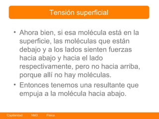 Tensión superficial

    • Ahora bien, si esa molécula está en la
      superficie, las moléculas que están
      debajo y a los lados sienten fuerzas
      hacia abajo y hacia el lado
      respectivamente, pero no hacia arriba,
      porque allí no hay moléculas.
    • Entonces tenemos una resultante que
      empuja a la molécula hacia abajo.

Capilaridad   NM3   Física
 