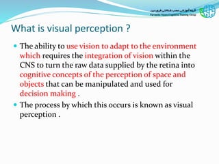 Dynamics of Visual Perceptual Decision-Making in Freely Behaving
