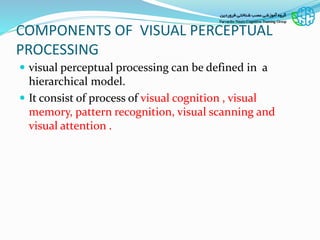 visual perceptual dysfunctions and assessment | PPSX