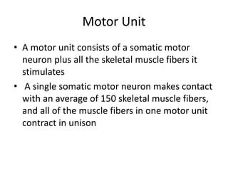 Motor Unit
• A motor unit consists of a somatic motor
neuron plus all the skeletal muscle fibers it
stimulates
• A single somatic motor neuron makes contact
with an average of 150 skeletal muscle fibers,
and all of the muscle fibers in one motor unit
contract in unison
 
