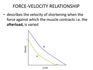 FORCE-VELOCITY RELATIONSHIP
• describes the velocity of shortening when the
force against which the muscle contracts i.e. the
afterload, is varied
 