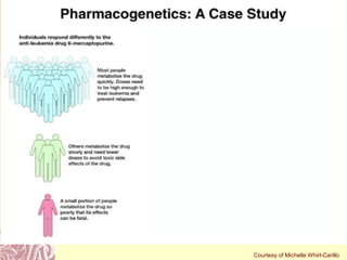 Doug Brutlag 2011
Pharmacogenetics: A Case Study
Courtesy of Michelle Whirl-Carillo
 