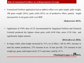 • Customized Fertilizer application had an additive effect over spike length, spike weight,
100 grain weight (26%), grain ...