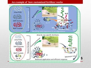 5
An example of how customized fertilizer works
 