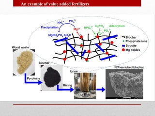An example of value added fertilizers
 