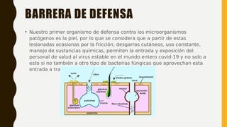 BARRERA DE DEFENSA
• Nuestro primer organismo de defensa contra los microorganismos
patógenos es la piel, por lo que se considera que a partir de estas
lesionadas ocasionas por la fricción, desgarros cutáneos, uso constante,
manejo de sustancias químicas, permiten la entrada y exposición del
personal de salud al virus estable en el mundo entero covid-19 y no solo a
esto si no también a otro tipo de bacterias fúngicas que aprovechan esta
entrada a través de la piel.
 