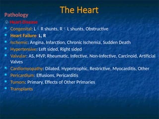 Cardiac Pathology Presentation Topic Pptx