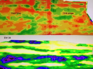 13
EM 38
Yield Map 0 N stripe
 