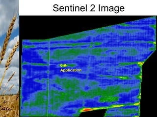 Sentinel 2 Image
15
0 P
Application
 