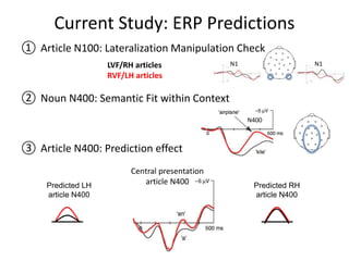 ① Article N100: Lateralization Manipulation Check
② Noun N400: Semantic Fit within Context
③ Article N400: Prediction effect
Current Study: ERP Predictions
LVF/RH articles
RVF/LH articles
N1N1
N400
Central presentation
article N400Predicted LH
article N400
Predicted RH
article N400
 