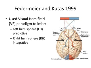 Federmeier and Kutas 1999
• Used Visual Hemifield
(VF) paradigm to infer:
– Left hemisphere (LH)
predictive
– Right hemisphere (RH)
integrative
 