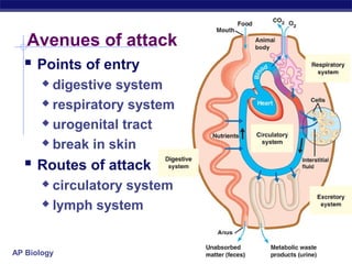 Avenues of attack
   Points of entry
        digestive system
        respiratory system

        urogenital tract

        break in skin

   Routes of attack
        circulatory system
        lymph system




AP Biology
 