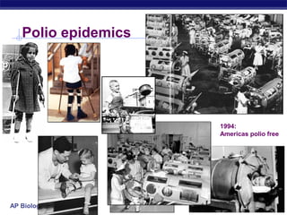 Polio epidemics




                     1994:
                     Americas polio free




AP Biology
 