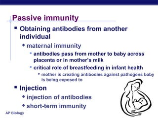 Passive immunity
    Obtaining antibodies from another
       individual
            maternal immunity
              antibodies pass from mother to baby across
               placenta or in mother’s milk
              critical role of breastfeeding in infant health
                 mother is creating antibodies against pathogens baby
                  is being exposed to

     Injection
         injection of antibodies
         short-term immunity

AP Biology
 