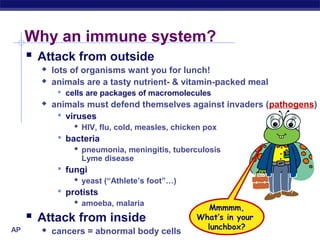 Why an immune system?
    Attack from outside
            lots of organisms want you for lunch!
            animals are a tasty nutrient- & vitamin-packed meal
               cells are packages of macromolecules
            animals must defend themselves against invaders (pathogens)
               viruses
                   HIV, flu, cold, measles, chicken pox
               bacteria
                   pneumonia, meningitis, tuberculosis
                    Lyme disease
               fungi
                   yeast (“Athlete’s foot”…)
               protists
                   amoeba, malaria
                                                  Mmmmm,
    Attack from inside                         What’s in your
AP Biology                                        lunchbox?
            cancers = abnormal body cells
 