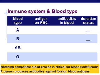 Immune system & Blood type
        blood           antigen             antibodies          donation
         type           on RBC               in blood            status
                      type A antigens
          A          on surface of RBC
                                            anti-B antibodies      __
                      type B antigens
          B          on surface of RBC
                                            anti-A antibodies      __
                    both type A & type B
                                                                universal
         AB        antigens on surface of
                            RBC
                                             no antibodies
                                                                recipient
                        no antigens          anti-A & anti-B    universal
          O          on surface of RBC         antibodies        donor

Matching compatible blood groups is critical for blood transfusions
A AP Biology
  person produces antibodies against foreign blood antigens
 