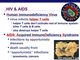 HIV & AIDS
 Human Immunodeficiency Virus
        virus infects helper T cells
          helper T cells don’t activate rest of immune system:
           killer T cells & B cells
          also destroys helper T cells
 AIDS: Acquired ImmunoDeficiency Syndrome
      infections by opportunistic
       diseases
      death usually from

      “opportunistic” infections

          pneumonia, cancers
AP Biology
                                              HIV infected T cell
 