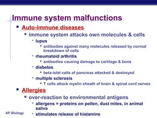 Immune system malfunctions
      Auto-immune diseases
            immune system attacks own molecules & cells
               lupus
                   antibodies against many molecules released by normal
                    breakdown of cells
               rheumatoid arthritis
                   antibodies causing damage to cartilage & bone
               diabetes
                   beta-islet cells of pancreas attacked & destroyed
               multiple sclerosis
                   T cells attack myelin sheath of brain & spinal cord nerves
      Allergies
            over-reaction to environmental antigens
               allergens = proteins on pollen, dust mites, in animal
                saliva
AP Biology     stimulates release of histamine
 