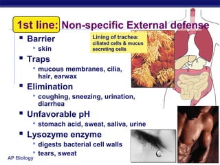 1st line: Non-specific External defense
     Barrier               Lining of trachea:
                            ciliated cells & mucus
          skin             secreting cells

     Traps
          mucous membranes, cilia,
             hair, earwax
     Elimination
          coughing, sneezing, urination,
             diarrhea
     Unfavorable pH
          stomach acid, sweat, saliva, urine
     Lysozyme enzyme
          digests bacterial cell walls
          tears, sweat
AP Biology
 