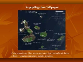 Arquipélago dos Galápagos:
Cada uma dessas ilhas apresentava um tipo particular de fauna
e flora – iguanas marinhas e jabutis gigantes.
 