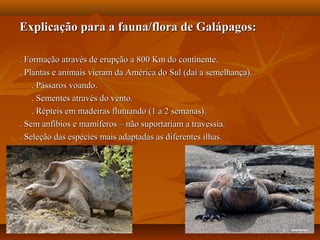 Explicação para a fauna/flora de Galápagos:Explicação para a fauna/flora de Galápagos:
. Formação através de erupção a 800 Km do continente.. Formação através de erupção a 800 Km do continente.
. Plantas e animais vieram da América do Sul (daí a semelhança).. Plantas e animais vieram da América do Sul (daí a semelhança).
. Pássaros voando.. Pássaros voando.
. Sementes através do vento.. Sementes através do vento.
. Répteis em madeiras flutuando (1 a 2 semanas).. Répteis em madeiras flutuando (1 a 2 semanas).
. Sem anfíbios e mamíferos – não suportariam a travessia.. Sem anfíbios e mamíferos – não suportariam a travessia.
. Seleção das espécies mais adaptadas as diferentes ilhas.. Seleção das espécies mais adaptadas as diferentes ilhas.
 