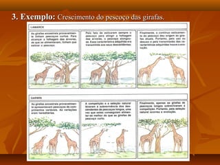 3. Exemplo:3. Exemplo: Crescimento do pescoço das girafas.Crescimento do pescoço das girafas.
 
