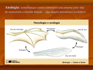 Analogia:Analogia: semelhanças entres estruturas unicamente pelo fatosemelhanças entres estruturas unicamente pelo fato
de exercerem a mesma função –de exercerem a mesma função – nãonão sugere parentesco evolutivo.sugere parentesco evolutivo.
 
