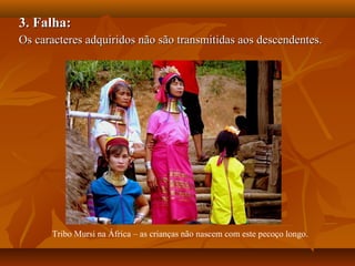 3. Falha:3. Falha:
Os caracteres adquiridos não são transmitidas aos descendentes.Os caracteres adquiridos não são transmitidas aos descendentes.
Tribo Mursi na África – as crianças não nascem com este pecoço longo.
 