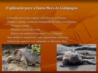 Explicação para a fauna/flora de Galápagos:
. Formação através de erupção a 800 Km do continente.
. Plantas e animais vieram da América do Sul (daí a semelhança).
. Pássaros voando.
. Sementes através do vento.
. Répteis em madeiras flutuando (1 a 2 semanas).
. Sem anfíbios e mamíferos – não suportariam a travessia.
. Seleção das espécies mais adaptadas as diferentes ilhas.
 