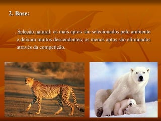 2. Base:
. Seleção natural: os mais aptos são selecionados pelo ambiente
e deixam muitos descendentes; os menos aptos são eliminados
através da competição.
 