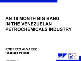 .
POLILAGO
© SAP America, Inc / 1
plastilago
ROBERTO ALVAREZ
Plastilago-Polilago
AN 18 MONTH BIG BANG
IN THE VENEZUELAN
PETROCHEMICALS INDUSTRY
 