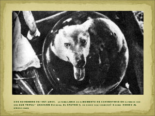 3 DE NOVIEMBRE DE 1957. URSS.  la perra LAIKA  en el MOMENTO DE CONVERTIRSE EN el primer  ser vivo QUE TRIPULÓ UNA NAVE Espacial;  EL SPUTNIK II,  en donde solo sobrevivió  6 horas  DEBIDO AL intenso calor.  