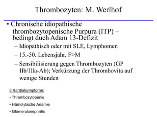 Thrombozyten: M. Werlhof
• Chronische idiopathische
thrombozytopenische Purpura (ITP) –
bedingt duch Adam 13-Defizit
– Idiopathisch oder mit SLE, Lymphomen
– 15.-50. Lebensjahr, F>M
– Sensibilisierung gegen Thrombozyten (GP
IIb/IIIa-Ab); Verkürzung der Thrombovita auf
wenige Stunden
3 Kardialsymptome:
• Thrombozytopenie
• Hämolytische Anämie
• Glomerulonephritis
 