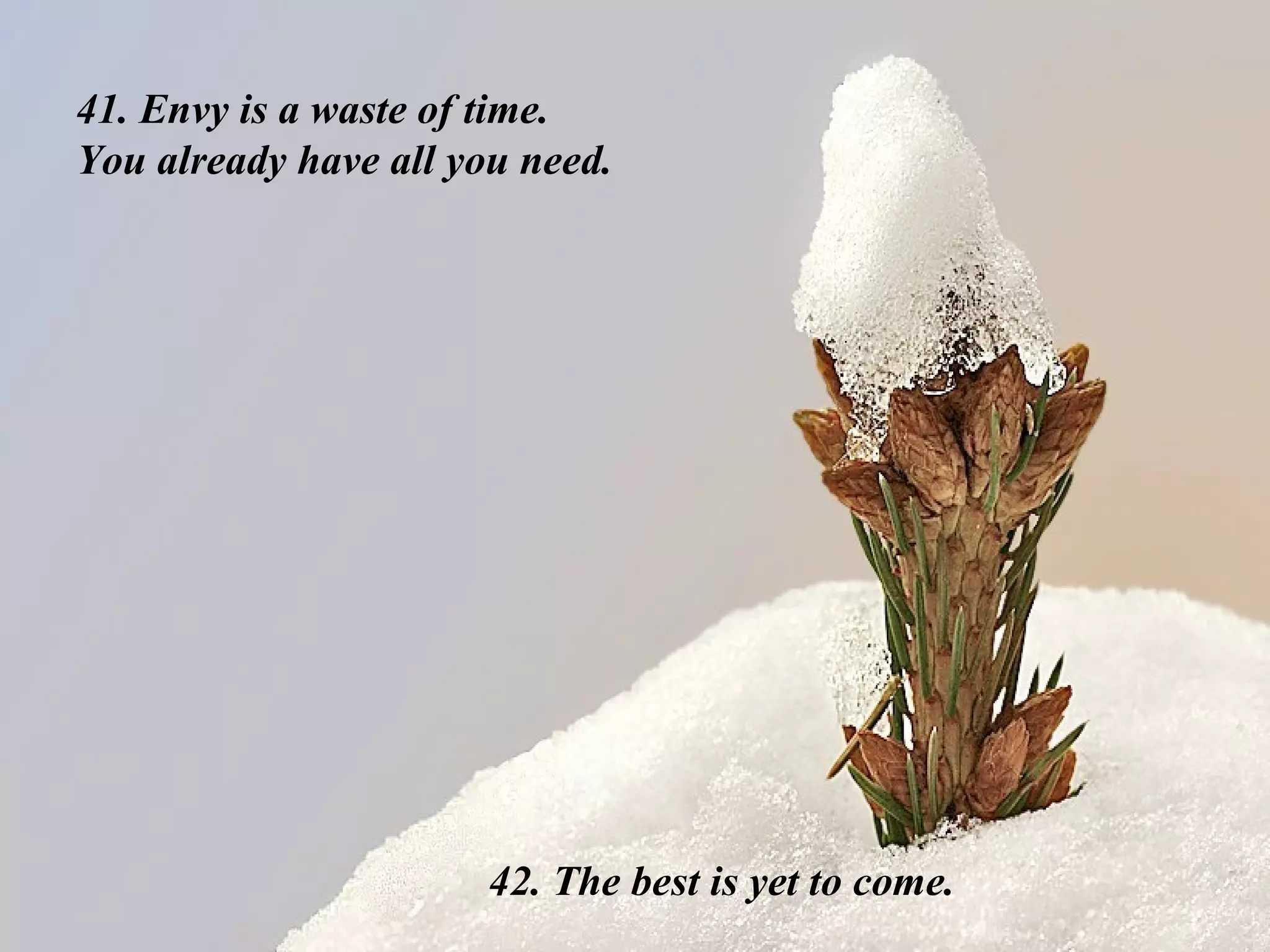 41. Envy is a waste of time.  You already have all you need. 42. The best is yet to come. 