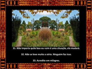 31. Não importa quão boa ou ruim é uma situação, ela mudará.

       32. Não se leve muito a sério. Ninguém faz isso.

                  33. Acredite em milagres.
 