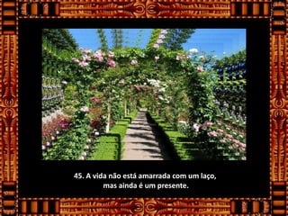 45. A vida não está amarrada com um laço,
         mas ainda é um presente.
 