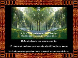 15. Tudo pode mudar num piscar de olhos.
             Mas não se preocupe; Deus nunca pisca.

              16. Respire fundo. Isso acalma a mente.

 17. Livre-se de qualquer coisa que não seja útil, bonito ou alegre.

18. Qualquer coisa que não o matar o tornará realmente mais forte.
 