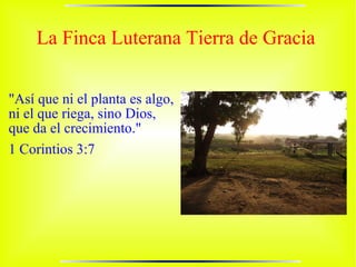 La Finca Luterana Tierra de Gracia


"Así que ni el planta es algo,
ni el que riega, sino Dios,
que da el crecimiento."
1 Corintios 3:7
 
