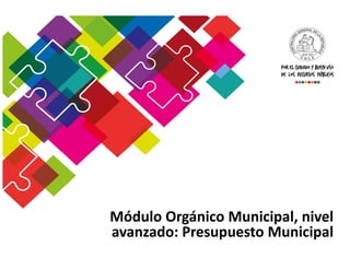 Módulo Orgánico Municipal, nivel
Módulo Orgánico Municipal, nivel
avanzado: Presupuesto Municipal
 
