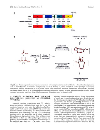 2322 Current Medicinal Chemistry, 2003, Vol. 10, No. 21 Shen et al.
Fig. (2). (A) Domain organization and sequence comparison between representative enediyne PKSs for a 9-membered enediyne core
such as 7 (SgcE) and a 10-membered enediyne core such as 2 (CalE8). aa, amino acid (B) A unified paradigm for enediyne
biosynthesis featuring the enediyne PKSs to account for the linear unsaturated polyketide intermediates, enediyne PKS accessory
enzymes to branch into the 9- or 10-membered enediyne cores, and tailoring enzymes to imbue additional structural diversity. Atoms
that were incorporated intact from the acyl CoA precursors to the enediyne cores are shown in bold.
A UNIFIED PARADIGM FOR ENEDIYNE
BIOSYNTHESIS INVOLVING AN ITERATIVE
TYPE I PKS
Although feeding experiments with 13C-labeled
precursors clearly established that both the 9- and 10-
membered enediyne cores were derived (minimally) from
eight head-to-tail acetate units [47,64-66], controversy
remained until the recent cloning and characterization of the
biosynthetic gene clusters of 7 [53] and 2 [61] whether the
enediyne cores are assembled by de novo polyketide
biosynthesis or degradation from a fatty acid precursor.
Elucidation of the 7 and 2 biosynthetic gene clusters and
pathways, together with the cloning and sequence analysis of
the enediyne PKS loci for 1, 3, 8, and 9, now clearly
suggest a common polyketide pathway for the biosynthesis
of both 9- and 10-membered enediyne cores, despite the fact
that their incorporation pattern by 13C-labeled acetate feeding
experiments are distinct [47,64-66]. Common to all
enediyne biosynthetic gene clusters known to date is the
enediyne PKS—an unprecedented type I PKS consisting of a
ketoacyl synthase (KS), an acyltransferase (AT), an acyl
carrier protein (ACP), a ketoreductase (KR), a dehydratase
(DH), and a C-terminal domain (TD) (also proposed to
encode a phosphopantetheinyl transferase) (Figure 2).
Flanking the enediyne PKS gene are a group of five to ten
genes that are organizationally conserved among all
characterized enediyne gene clusters. These genes encode the
enediyne PKS accessory enzymes that are unusual
oxidoreductases or proteins of unknown functions that are
 