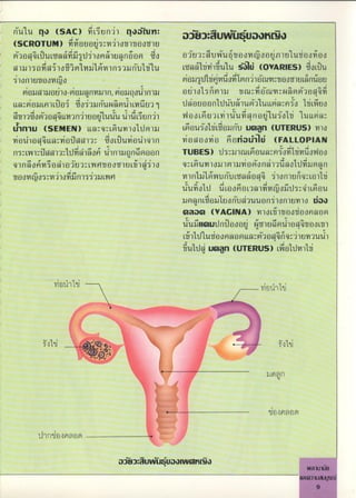 J
/
??r
q
,
J
t?
r
tq?n
íu1u n. (S
'
ACldlUgun41n. ìru J. jy .. uw u .
u -
lSCROTUMldgoouv
!
j i1og1goog1u
joq
'
q0mugadg,di1og1ua,(1õom o giuj,,umuqggonqoouv!n)uugogo
a1u1gndaj1ogjg1 g )ngumug1u ¬g õ uuj1 loYARIES)do'u
iIon1uggo o gug,d1gv
!
dodTmni1 ggog1uLángu
gu 1uo 1o g a,n u1n,gunqo )n1u gei1o1gDm1u gcwd cugwm g,
'
q
¬La gLg)6dVgí ojimuwgm16ûuj1 dgoggn1Uu1ui1uL wj'o1Lwoo
g1joMjon,
^
ql ni1ugu,'1u'u )dldjuni) goLmiuJ¬)Yud,nuuv!1ujo1j 1uLLmi
C1ntu (sEME )layqyy¬gun1o1dg1u ¬mgujo1Ldgumuuyn lUrERUS)n)o
mg51onq
^
qLLaýoa1g oL0"uo1q)n viunuoviu noDttl (FALLoplA
ngLw)úan)ig1dd1oõ 1n)un,(1mogn TUBES)dayw16mgu gj'od1jdogo
q1()oõ jo )ojujLwgggog)uLj)n,!i1o qLnun1ou1m1ugõon1jdao1ddumvn
goony og j)odgn,gij6wg 1n11gwu(ÐuLagq
^
q i1on)uDqLg11
'u o1d dLoongLj1drouo dgq)Lmgu
umavnLdouTuomujuugnj1on)un1o
t lYAGlAln1oLj1googonagm
'uIludn"goou,!wvg1uóm1g,
'
qggoLg1
L1d1u gonagmLLa o,
^
qDq41unju ;
u'ldv
!
u n(uTERus)Lg1U)1
mg51 n!g,o,,!h
01,! ig., ''''/,,, í "'',/ ,!' '0qj
.ç"g"".
,..
''
,
,,
,
,,
Umn,
''
/
,,
'
,
'
,
,
,
15!00gn m
1n g0ngm
ìa .uWU.
'
u lW
W
9
 