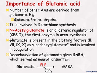 Metabolism of Acidic Amino Acids (Glutamic Acid, Glutamine, Aspartic acid,  Aspargine)