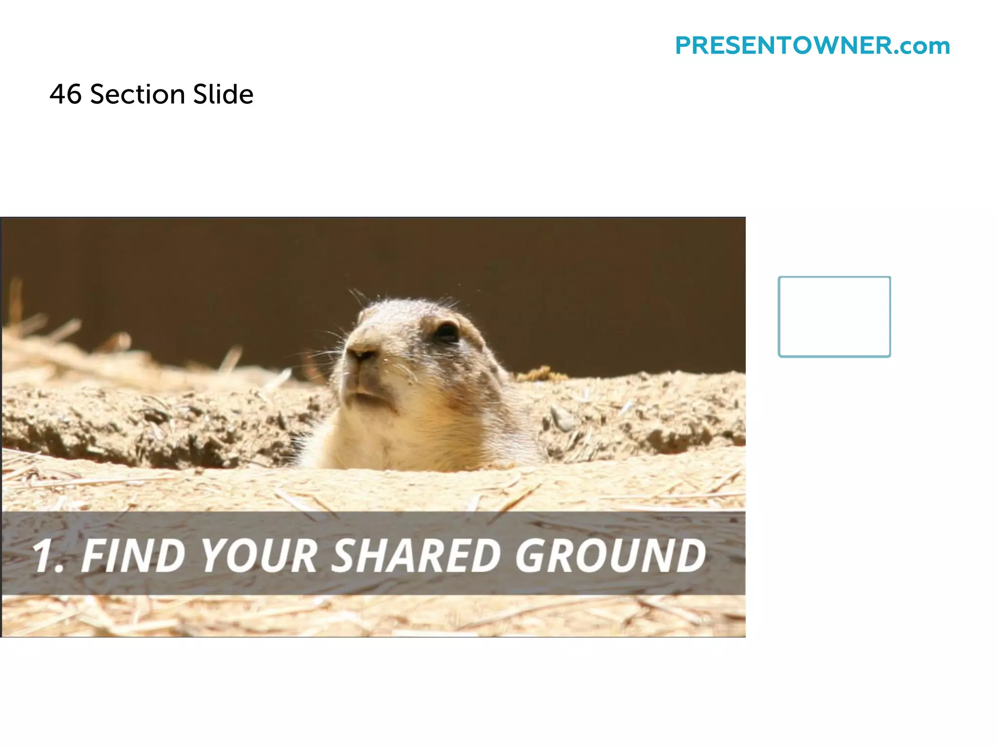 46 Section Slide
PRESENTOWNER.com
 