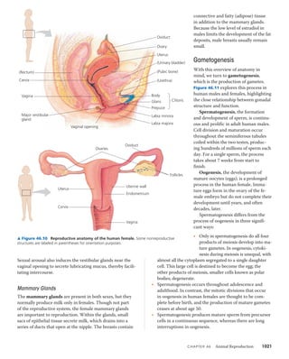 46 animal reproduction | PDF
